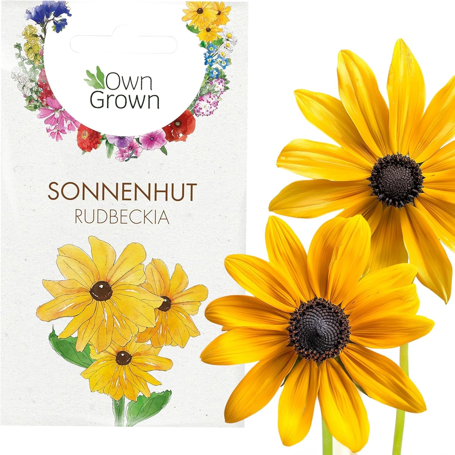 Semințe de Echinacea: Semințe de Echinacea galbene premium pentru aproximativ 20 de plante de Echinacea cu înflorire – Semințe de Rudbeckia – Rudbeckia rezistentă – Plante perene de Echinacea – Plante perene rezistente de la OwnGrown
