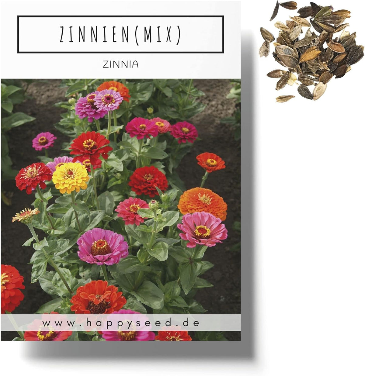 Amestec de semințe de Zinnia (Zinnia) - Flori de vară colorate pentru stratul de grădină, balcon, terasă și ca flori tăiate în vaze