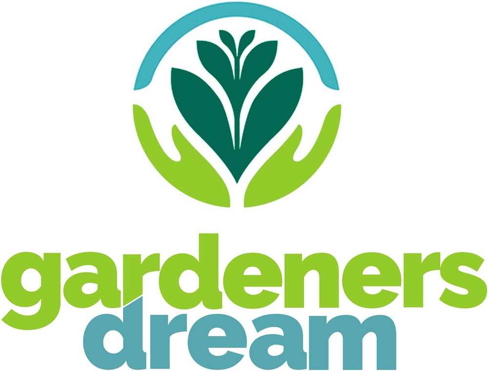 Visul grădinarilor: 4 plante Tillandsia reale - 4 plante de aer Tillandsia reale - Plante de terariu - Plante decorative pentru terariu - Plante de apartament care purifică aerul - Plante decorative - Plante reale