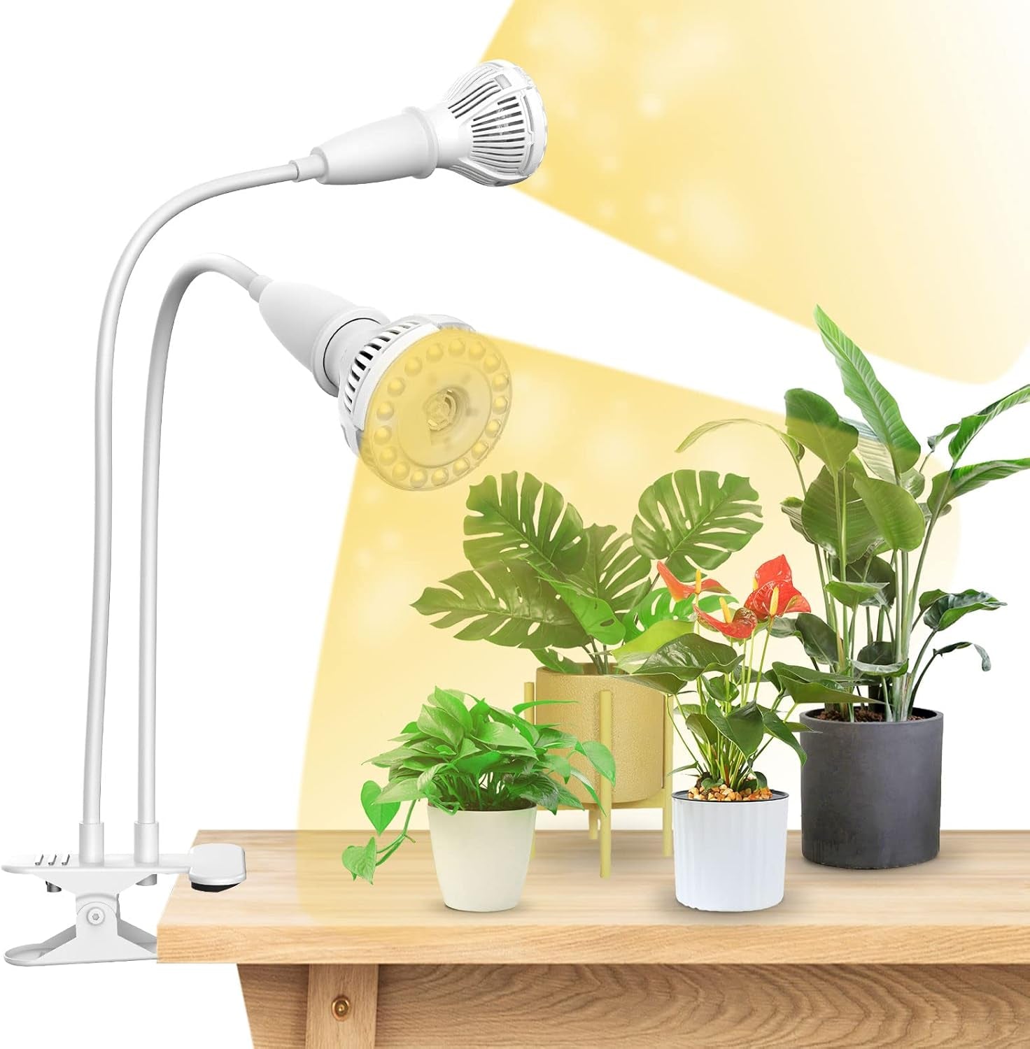 Lampă LED SANSI pentru plante de interior, lampă de creștere cu 2 capete, spectru complet de 10W (echivalent 150W), temporizator 4/8/12 ore, lumină suspendată pentru plante de interior, seră, hidroponică