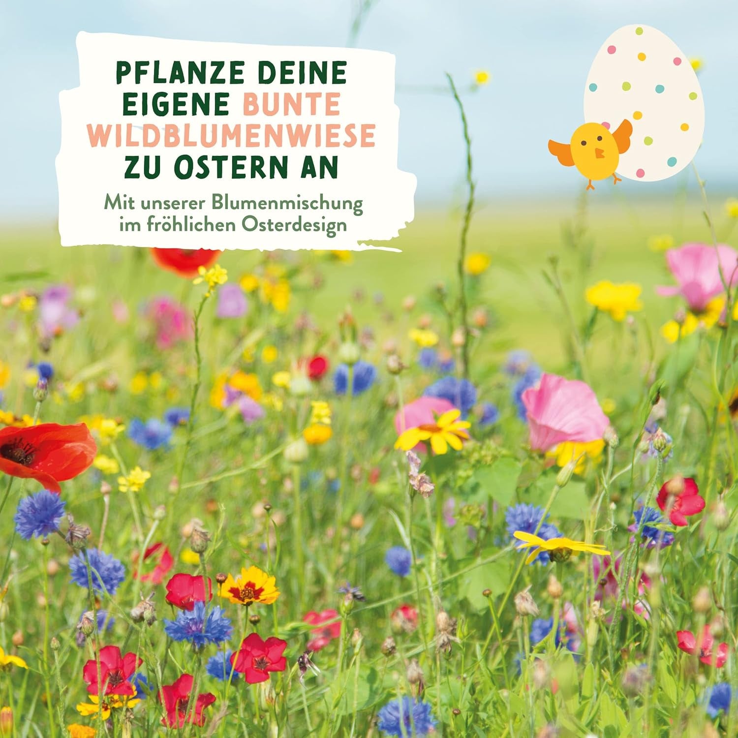 Semințe de pajiște cu flori sălbatice | Semințe de flori cadou de Paște, semințe de iarbă de Paște | Semințe de flori pentru Paște și cadouri de Paște pentru copii | Semințe de flori sălbatice | Pachete de semințe pentru o pajiște cu flori sălbatice