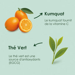 Yunnan Tuocha Zouji - Ceai verde organic cu kumquat - Vitamina C - 100 pliculețe de ceai - 200 g - Calitate Yunnan garantată