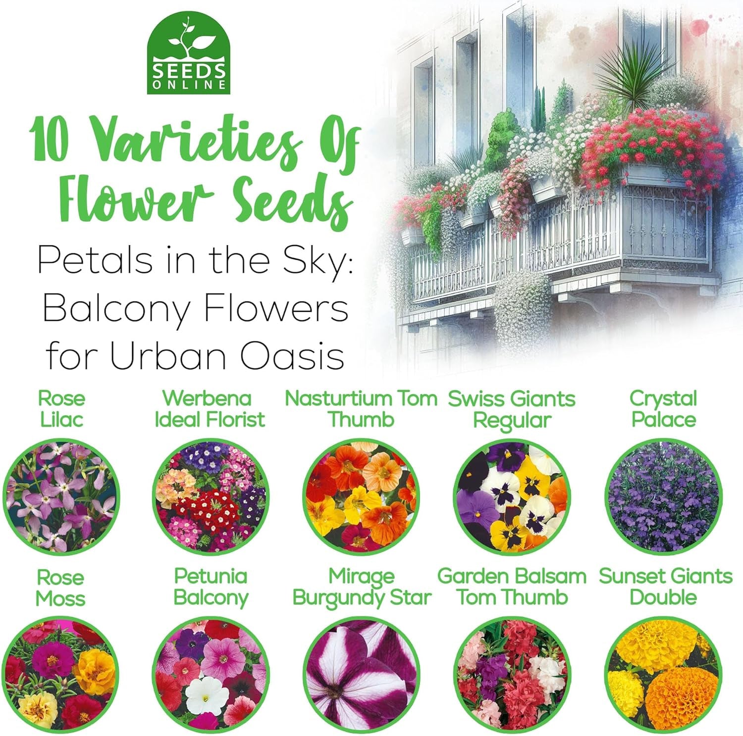 Set de semințe de flori Nojus – 10 varietăți de semințe de flori – Semințe de flori de balcon – Semințe de plante colorate – 10 pachete – Semințe de flori sălbatice – Pliculețe cu semințe de flori – Cadou ideal cu semințe de flori