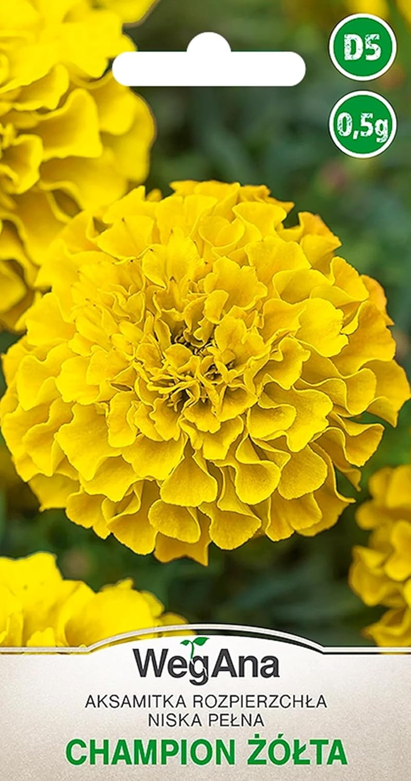 Semințe Cosmos Sensation Mix 1g, Mix Cosmos Flori de vară, Plante de grădină Plante de balcon, Semințe de flori