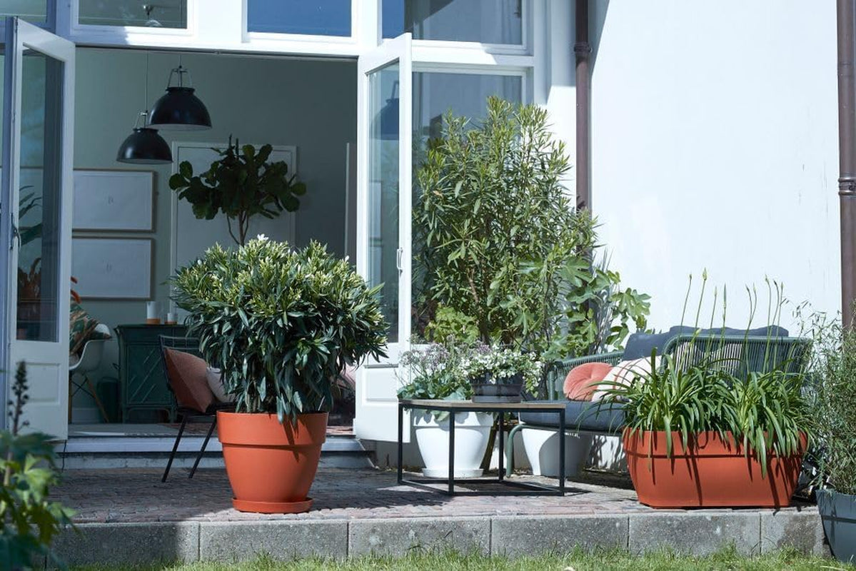 elho Vibia Campana Bowl 27 - Ghiveci de flori pentru exterior - Ø 27,0 x H 14,0 cm - Negru/Antracit