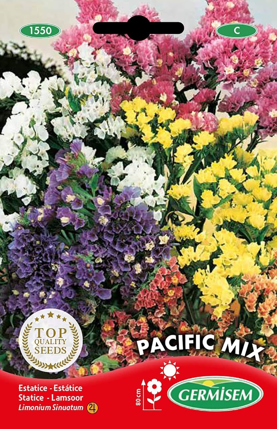Statice, multicolor, EC1550