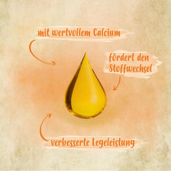 Ida Plus - GoldenEgg 200 ml - vermindert Brucheier & Federfressen - unterstützt Federwachstum & Federkleid - Wichtige Mineralien & Vitamine für Hühner - Beste Eierqualität bei Ihrer Hühnerhaltung