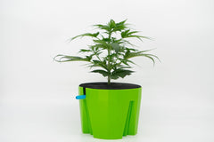 Hydro Farmer, set de ghivece cu 19 piese Ø 18 cm (verde), sistem de creștere care include 4 ghivece, 4 inele de udare, 4 capace, set adaptor și furtun de 2 m, hidroponică, aeroponică