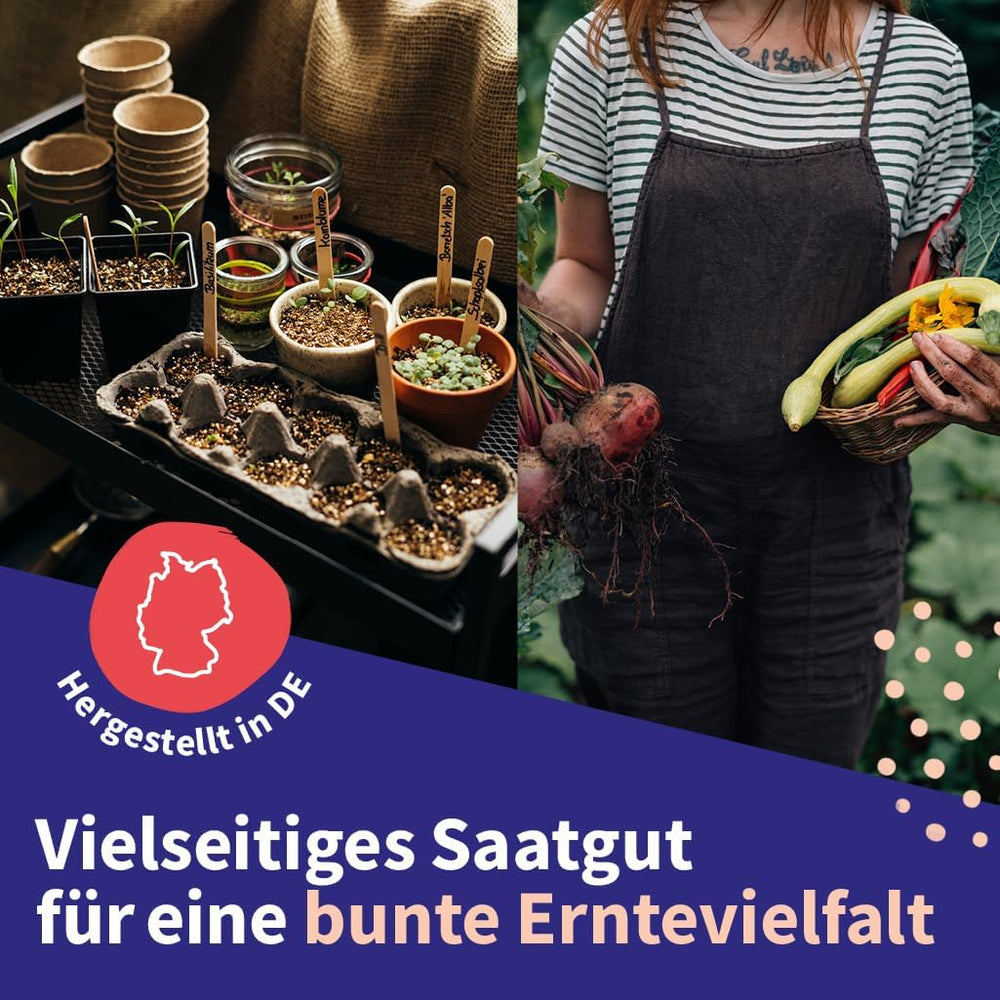 Semințe Magic Garden - Set de semințe de plante medicinale din Europa Centrală - 12 soiuri tradiționale de plante medicinale populare - Soiuri Heirloom - Accesorii de grădină - Semințe de plante - Cadou pentru iubitorii de grădină