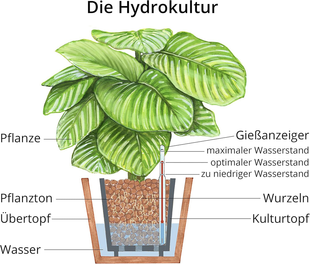 Argilă de plantare Dehner, 10 l, granulație 4/8 mm, mărime universală