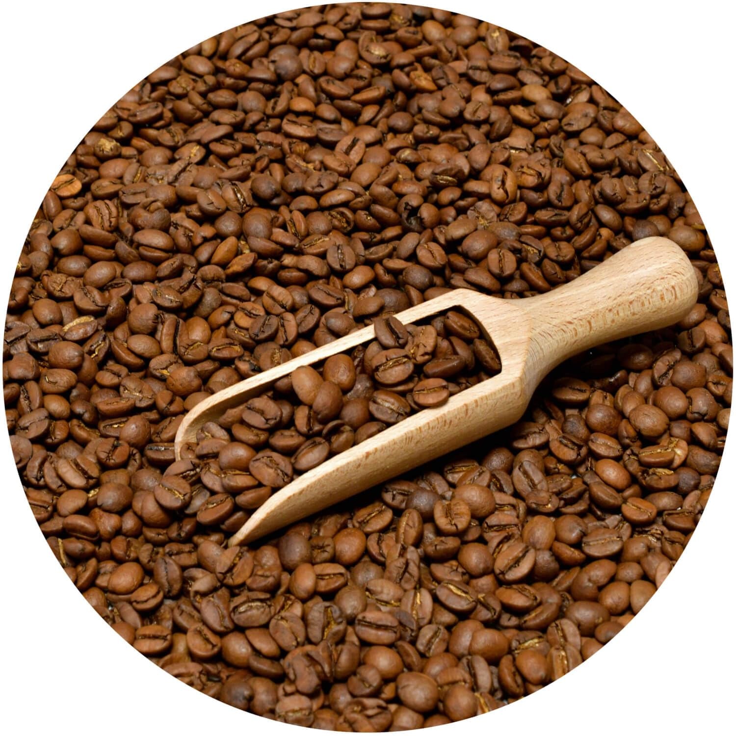Set boabe de cafea 3x1kg 3000g | Brazil Cerrado | Cafea braziliană | Cafea specială | Proaspăt prăjită | Prăjitor artizanal de cafea