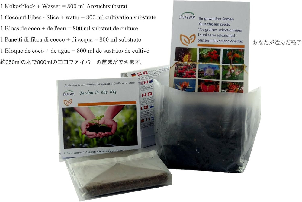 SAFLAX - Garden in the Bag - Afrikanische Riesenkalebasse - 15 Samen - Mit Anzuchtsubstrat Im Praktischen, Selbst Aufstellenden Beutel - Lagenaria Siceraria