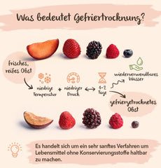 BRIX căpșuni liofilizate | Căpșuni naturale 75 g | Great Taste Award pentru fructe uscate, liofilizate | Fără OMG, fără gluten, vegan, vitamine reținute Produse deshidratate Naty Shop