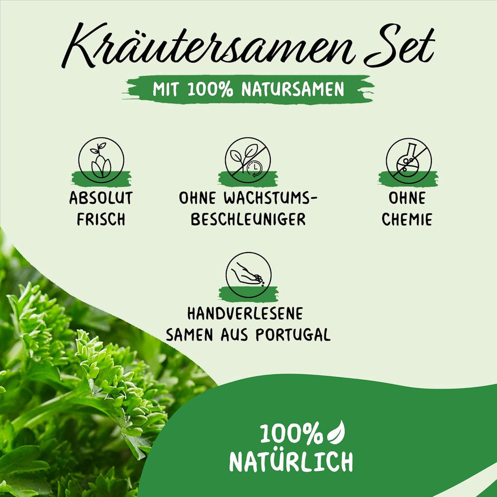 Prademir – Kräutersamen Set aus 16 beliebten Küchenkräutern – Kräuter Anzuchtset mit 100% Natursamen aus Portugal – Kräuter Saatgut aus Oregano, Thymian, Majoran, Rosmarin, Dill, Basilikum, Salbei uvm