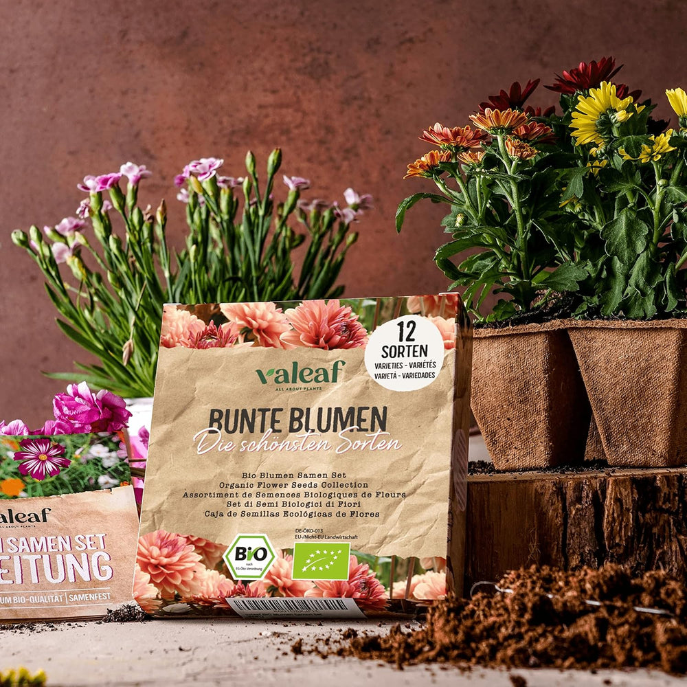 Set de semințe de flori organice | 12 varietăți de semințe de flori | Semințe de flori premium | Set de semințe de plante cu semințe de flori sălbatice | Semințe de flori | Semințe de flori pentru balcon | Cadou ideal cu semințe de flori