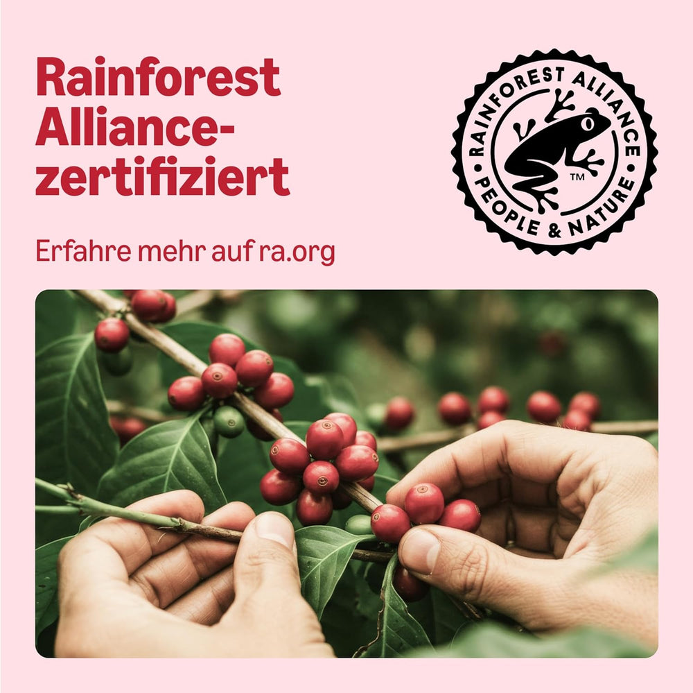 by Amazon Klassische Kaffeepads aus 100% Arabica, geeignet für Senseo-Maschinen, 36 Stück (1 Packung mit 36 Stück) – Rainforest Alliance-zertifiziert