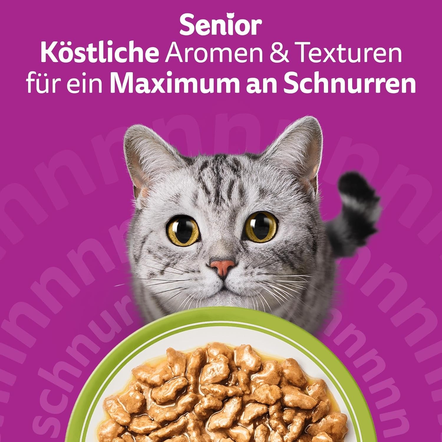Hrană umedă Whiskas Senior 7+ Selecție mixtă în sos, 48 pliculețe, 12x85g (pachet de 4) – Hrană umedă de înaltă calitate pentru pisici de 7 ani și peste