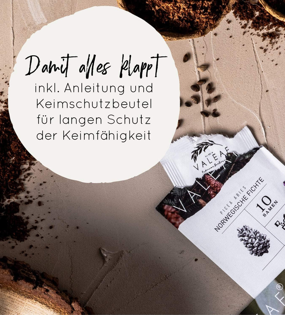 10 Semințe de Bonsai de pe 5 Continente | Semințe de Arbori Exotici pentru Bonsaiul Tău Unic | Kit de Începători și Pasionați de Plante | Setul Nostru de Bonsai ca Idee de Cadou Specială