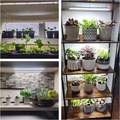 Lampă LED Wiaxulay cu spectru complet pentru plante, 6000K, lumini de creștere cu spectru complet pentru plante de interior cu temporizator de 6/12/16 ore, 5 niveluri reglabile pentru suculente hidroponice, raft pentru plante, 2 bucăți