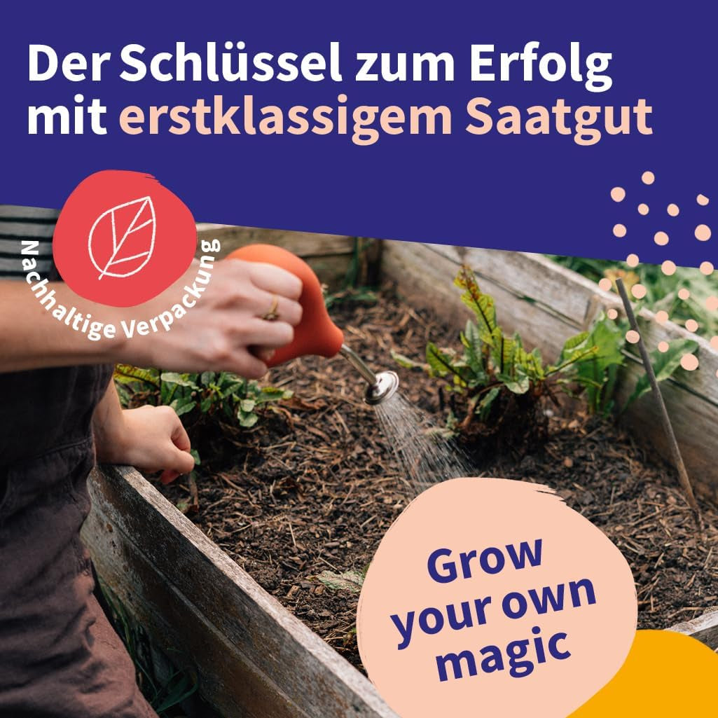 Semințe Magic Garden - Set de semințe de plante medicinale din Europa Centrală - 12 soiuri tradiționale de plante medicinale populare - Soiuri Heirloom - Accesorii de grădină - Semințe de plante - Cadou pentru iubitorii de grădină