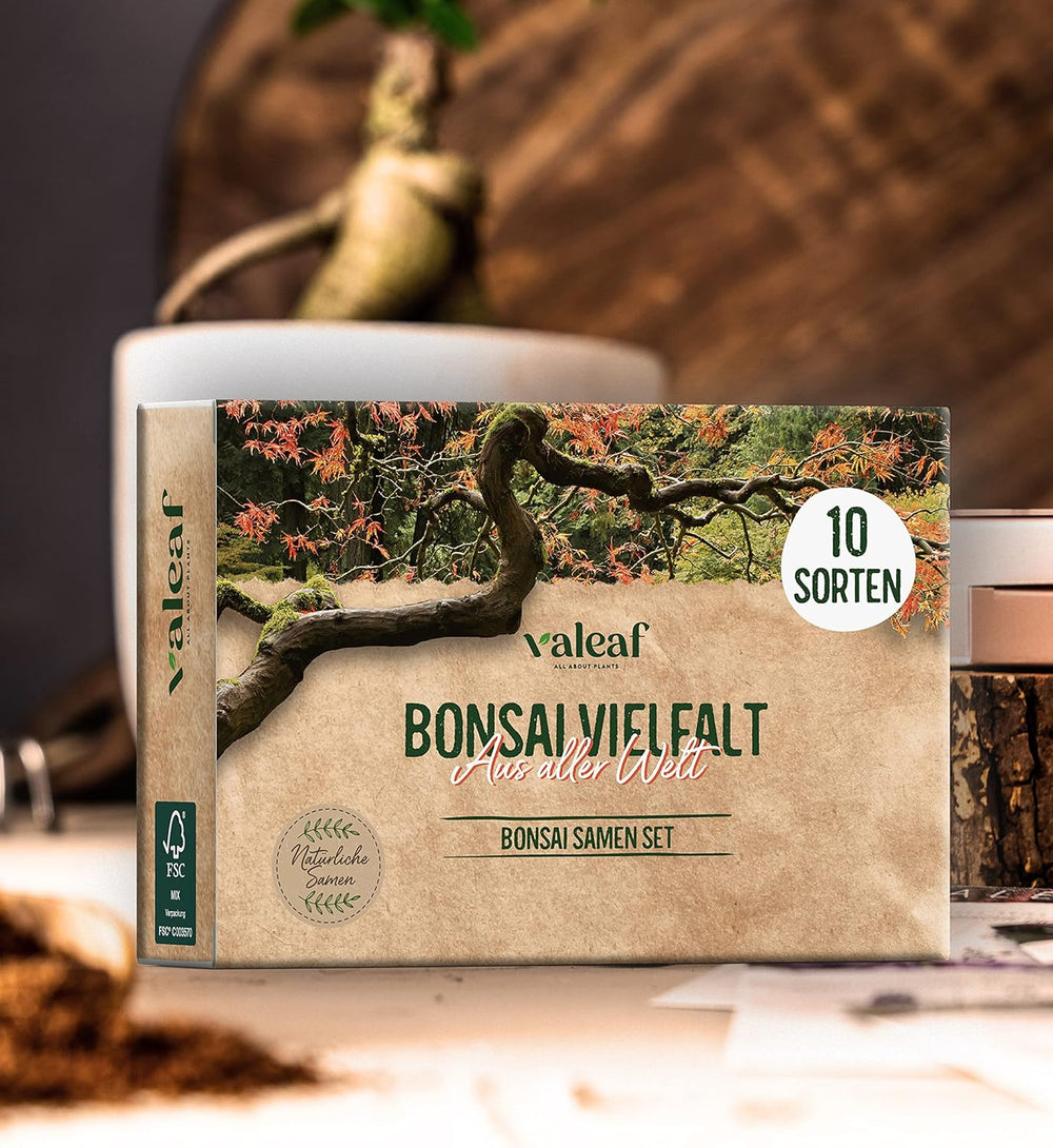 10 Semințe de Bonsai de pe 5 Continente | Semințe de Arbori Exotici pentru Bonsaiul Tău Unic | Kit de Începători și Pasionați de Plante | Setul Nostru de Bonsai ca Idee de Cadou Specială