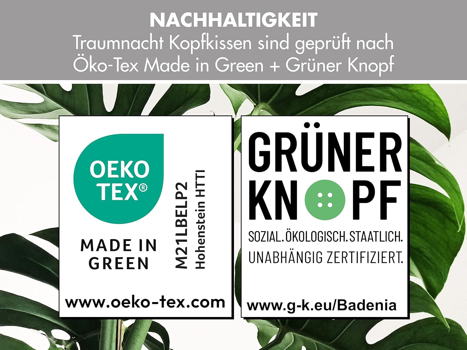 Traumnacht Cozy - Set de 2 perne cu husă din microfibră moale, pernă certificată Oeko-Tex cu fermoar, 80X80 cm, produsă în conformitate cu standardul de calitate german Perne standard Naty Shop