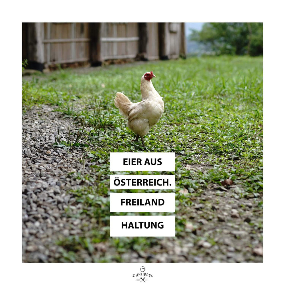 Proteinvital Vollei-Ei-Pulver EIEREI Regional Österreichische Freiland Eier 800g + Anrühr Set, Kraftpapier Doypack mit Zipper