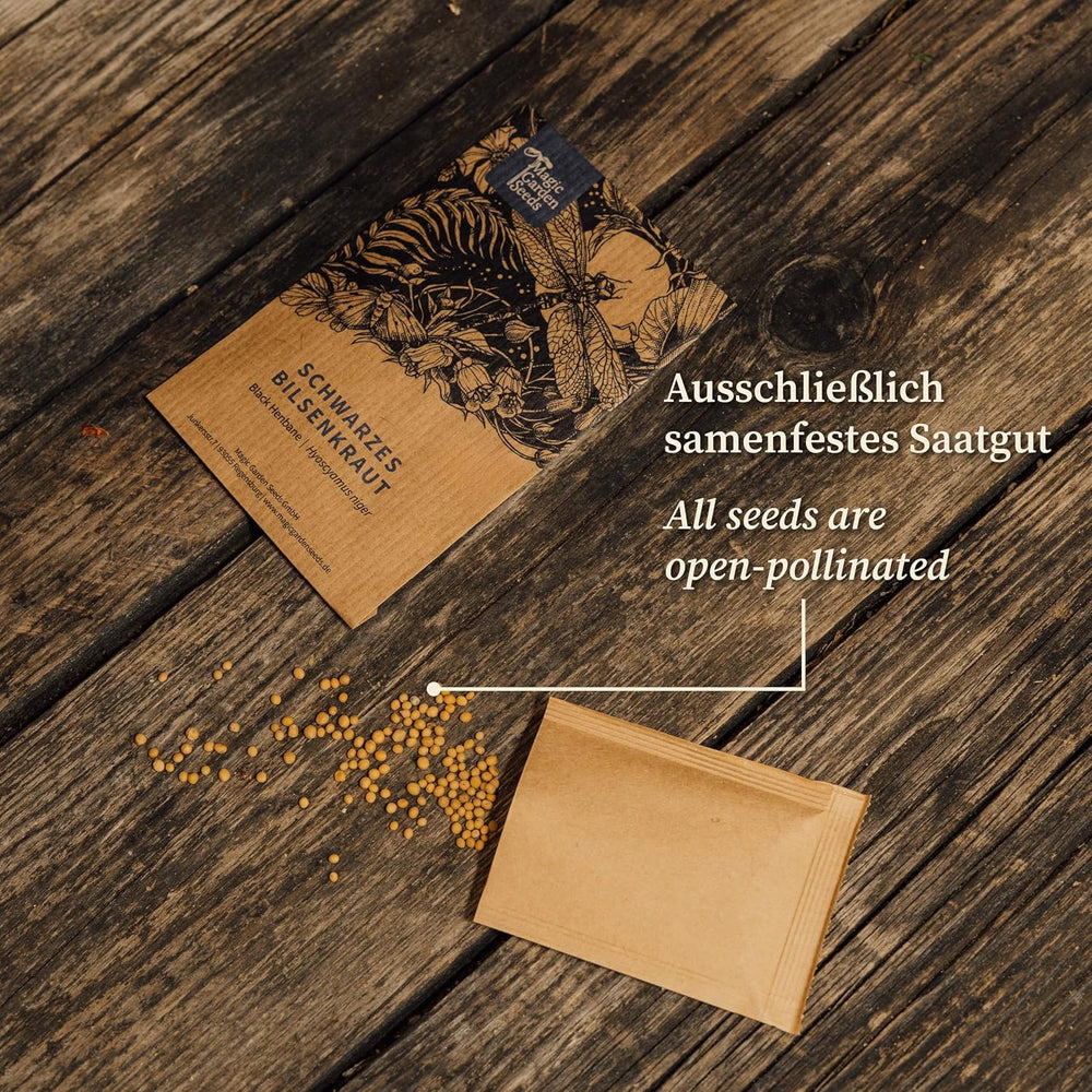 Mușețelul vopsitorului (Anthemis tinctoria) - aproximativ 800 de semințe ale plantei vopsitoare tradiționale și ale florii sălbatice perene