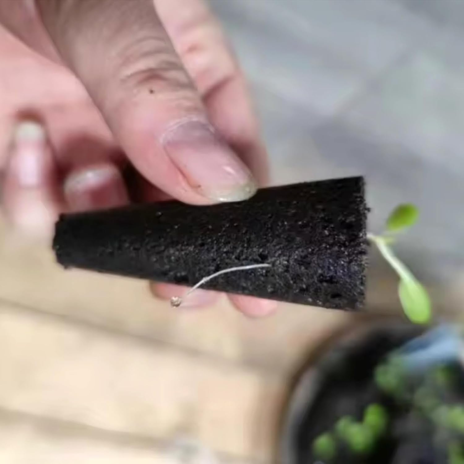 50 de bureți de creștere de schimb, tuburi pentru înființarea semințelor, dopuri de burete pentru creșterea rădăcinilor, kituri de creștere hidroponică pentru sisteme de creștere hidroponică, hidroponie de interior, grădină