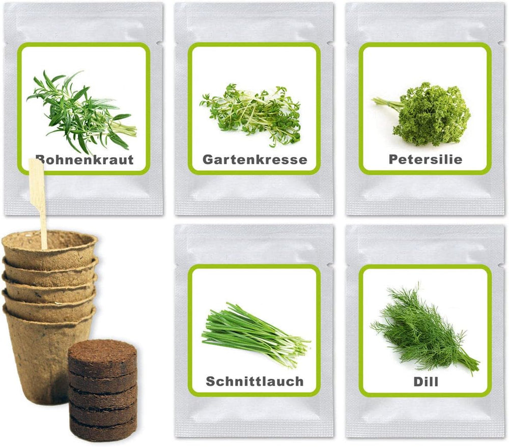 Magic of Nature Oma`s Küchenkräuter Box - Anzuchtset - 5 Sorten frische Kräuter Samen - Zum Selberzüchten oder zum Verschenken