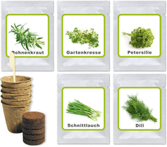 Magic of Nature Oma`s Küchenkräuter Box - Anzuchtset - 5 Sorten frische Kräuter Samen - Zum Selberzüchten oder zum Verschenken