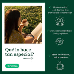 Ceai verde japonez Gyokuro organic (100 g) | Ceai premium la vrac | Gust umami rafinat și dulceață delicată | REPLANTEA