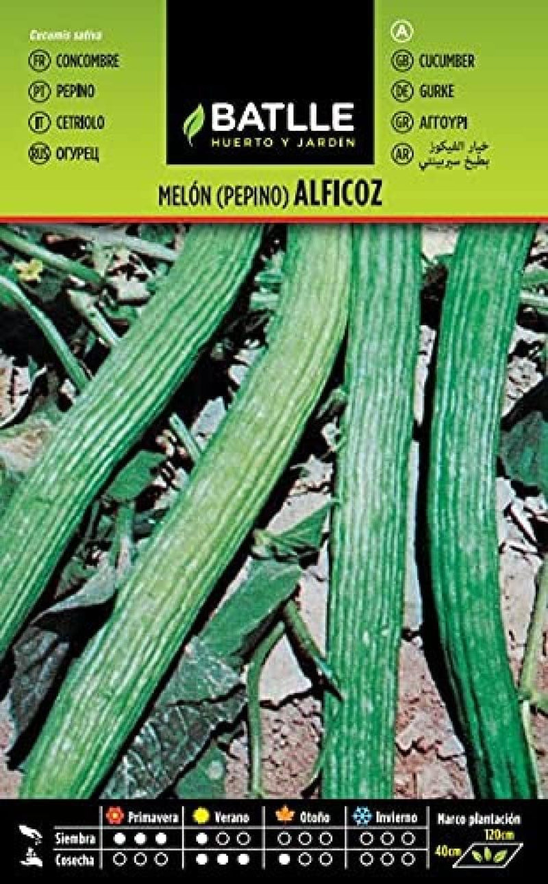 Gurke KÜNSTIGKEIT Melone Schlange