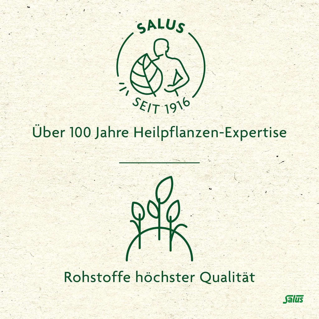 Salus - Ceai de măceșe și malva - 1X 15 pliculețe filtru (45 g) - Ceai de fructe - Compoziție din măceșe și flori de hibiscus african - Răcoritor - Bio