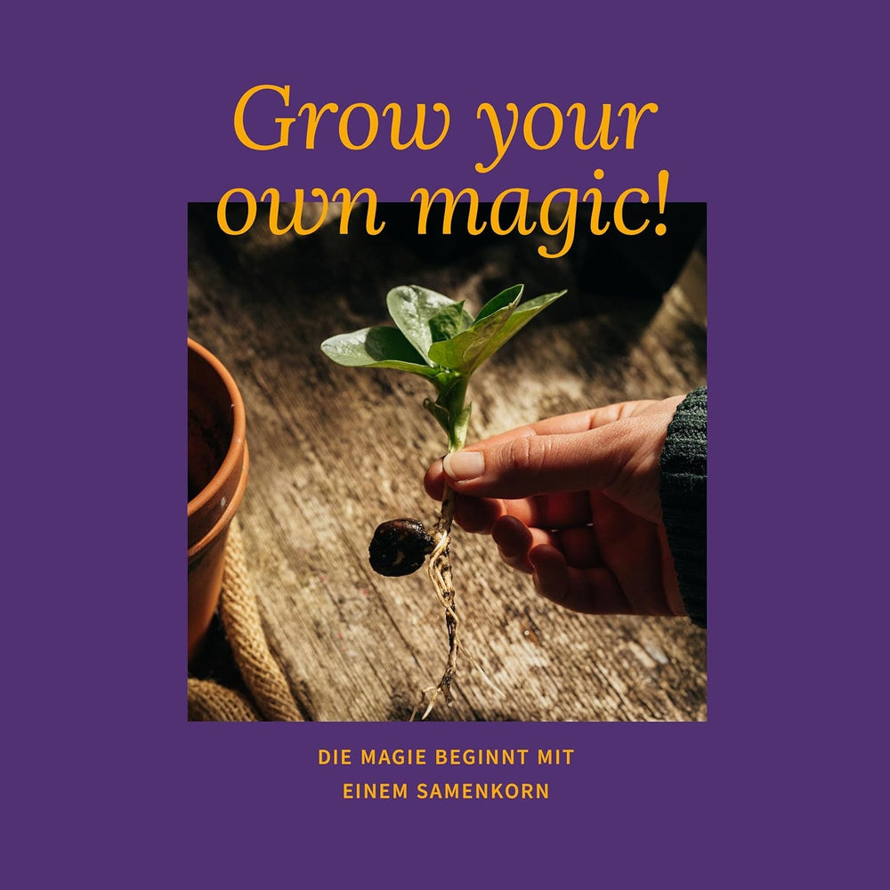 Semințe Magic Garden - Cutie cu semințe de plante parfumate - Magie florală pentru balcon, strat de flori și simțuri - Semințe cu polenizare liberă, flori fermecătoare ca idee de cadou pentru pasionații de grădinărit