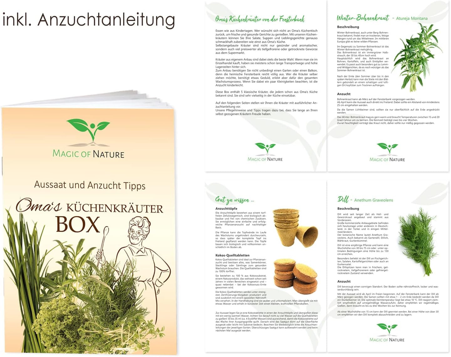 Magic of Nature Oma`s Küchenkräuter Box - Anzuchtset - 5 Sorten frische Kräuter Samen - Zum Selberzüchten oder zum Verschenken
