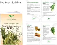 Magic of Nature Oma`s Küchenkräuter Box - Anzuchtset - 5 Sorten frische Kräuter Samen - Zum Selberzüchten oder zum Verschenken