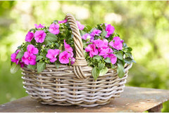 Coș de flori Dehner din ratan cu mâner, aprox. 46 x 39 x 18 cm, țesătură de ratan, gri/maro