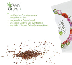 Semințe de Petunie: Semințe de petunie premium pentru aproximativ 400 de plante de petunie – Semințe frumoase de petunie pentru plante de balcon și grădină – Semințe de flori – Semințe de petunie cu flori rampante – Flori pentru balcoane OwnGrown