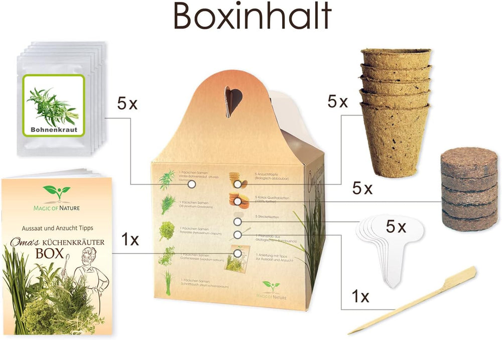 Magic of Nature Oma`s Küchenkräuter Box - Anzuchtset - 5 Sorten frische Kräuter Samen - Zum Selberzüchten oder zum Verschenken