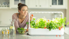 Grădină interioară Click and Grow, mai ușoară decât un sistem de creștere hidroponic, Grădină inteligentă cu LED, grădină de plante aromatice, seră interioară cu 9 capsule de plante incluse (alb)