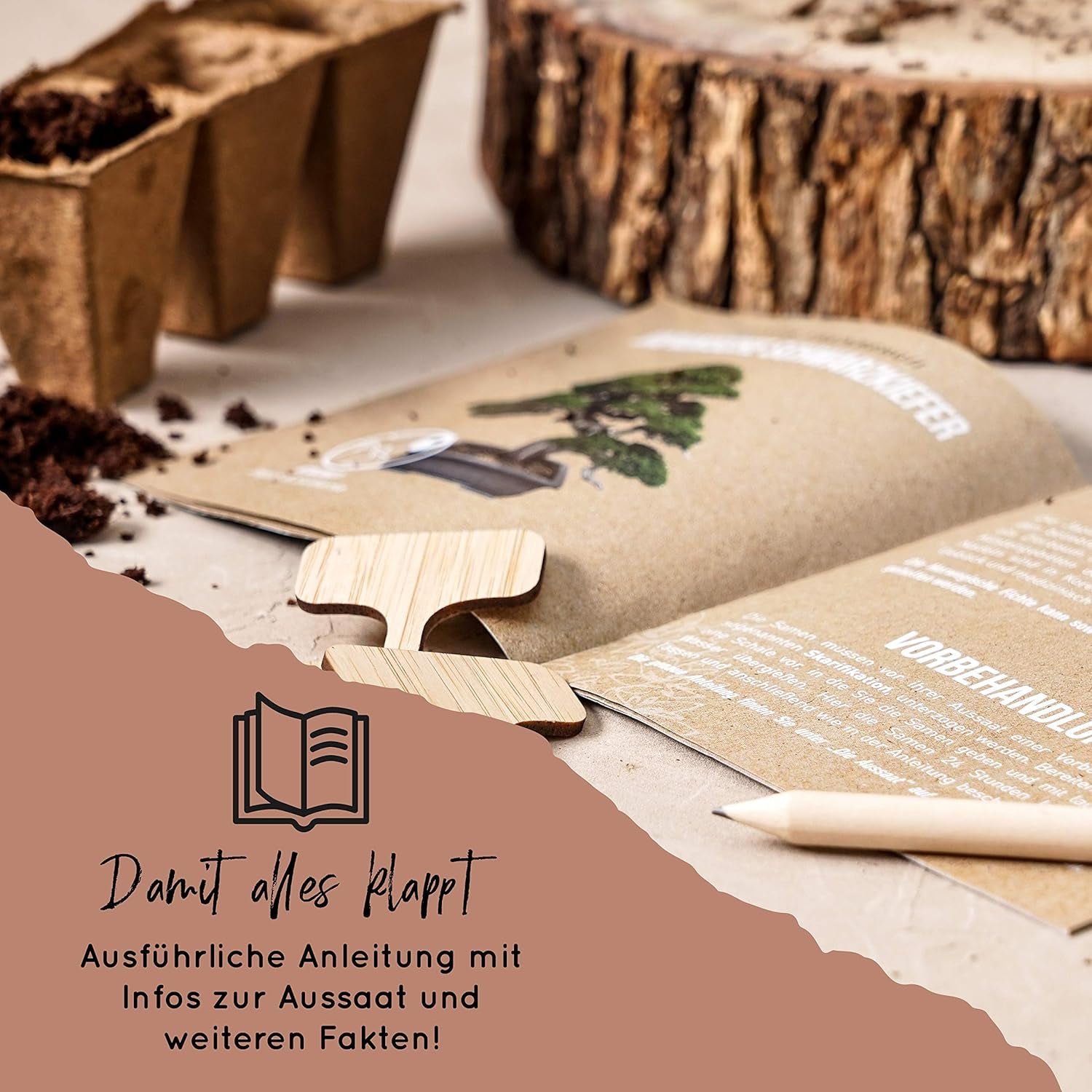 10 Semințe de Bonsai de pe 5 Continente | Semințe de Arbori Exotici pentru Bonsaiul Tău Unic | Kit de Începători și Pasionați de Plante | Setul Nostru de Bonsai ca Idee de Cadou Specială