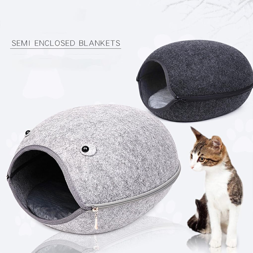 Animale de companie, câini, antrenament la oliță, scutece și protecție pentru podele