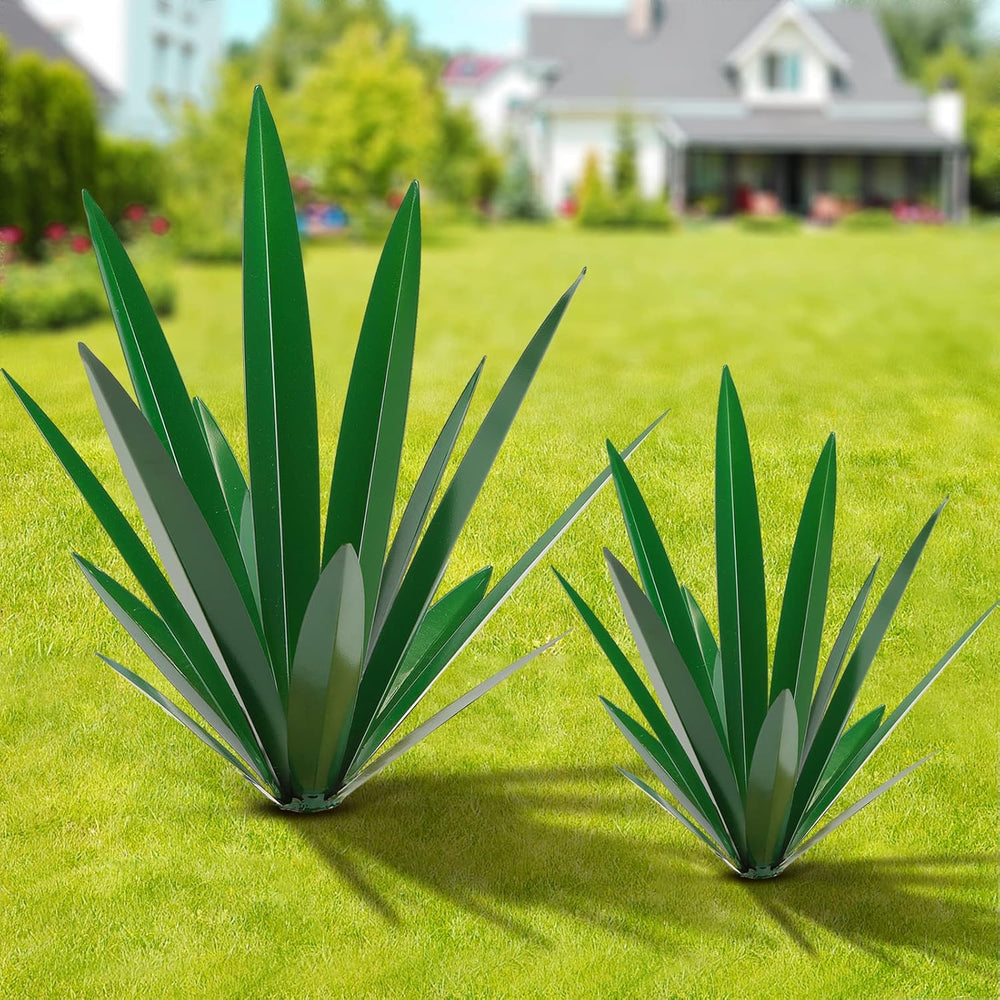 Agave Pflanze (Groß-Rot)