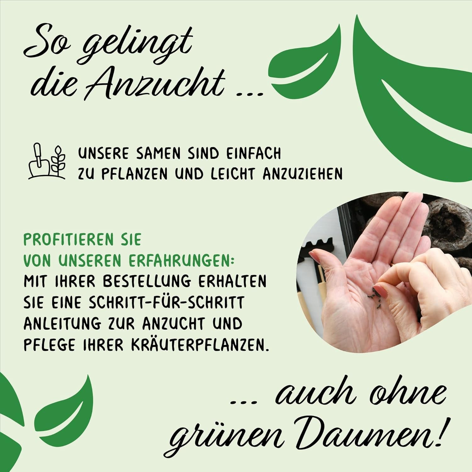 Prademir – Kräutersamen Set aus 16 beliebten Küchenkräutern – Kräuter Anzuchtset mit 100% Natursamen aus Portugal – Kräuter Saatgut aus Oregano, Thymian, Majoran, Rosmarin, Dill, Basilikum, Salbei uvm