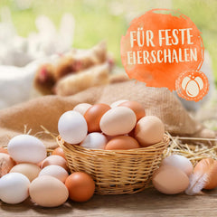 Ida Plus - GoldenEgg 200 ml - vermindert Brucheier & Federfressen - unterstützt Federwachstum & Federkleid - Wichtige Mineralien & Vitamine für Hühner - Beste Eierqualität bei Ihrer Hühnerhaltung