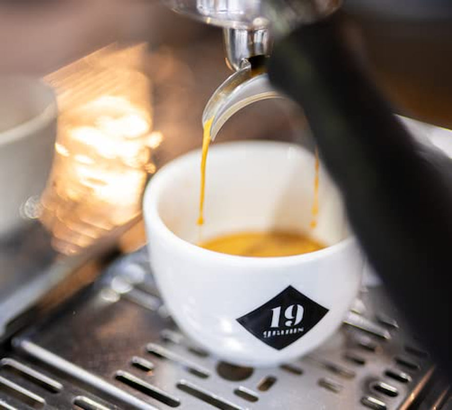 Entkoffeinierter Espresso Kolumbien | 250g ganze Bohne | fair & nachhaltig | frisch geröstet | 100% Arabica Kaffeebohnen | specialty coffee | Kaffee ohne Koffein | 19grams Kaffeerösterei