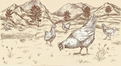 Tăiței panglică BioGourmet cu Schüttelbrot din Tirolul de Sud (IGP) | Tăiței de ou sărați și aromati cu speck autentic din Tirolul de Sud | 1 x 250g Bio