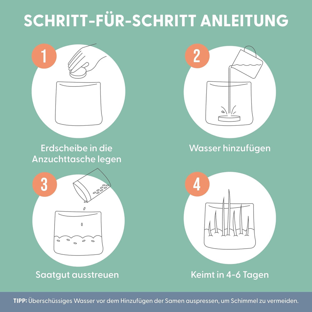 The Cat Ladies 3Er Set Katzengras Samen - Gras Anzuchtset Für Katzen - Gras Zum Fressen Für Die Katze - 3X Katzengrassamen Set - Katzengras Für Balkon Und Wohnung