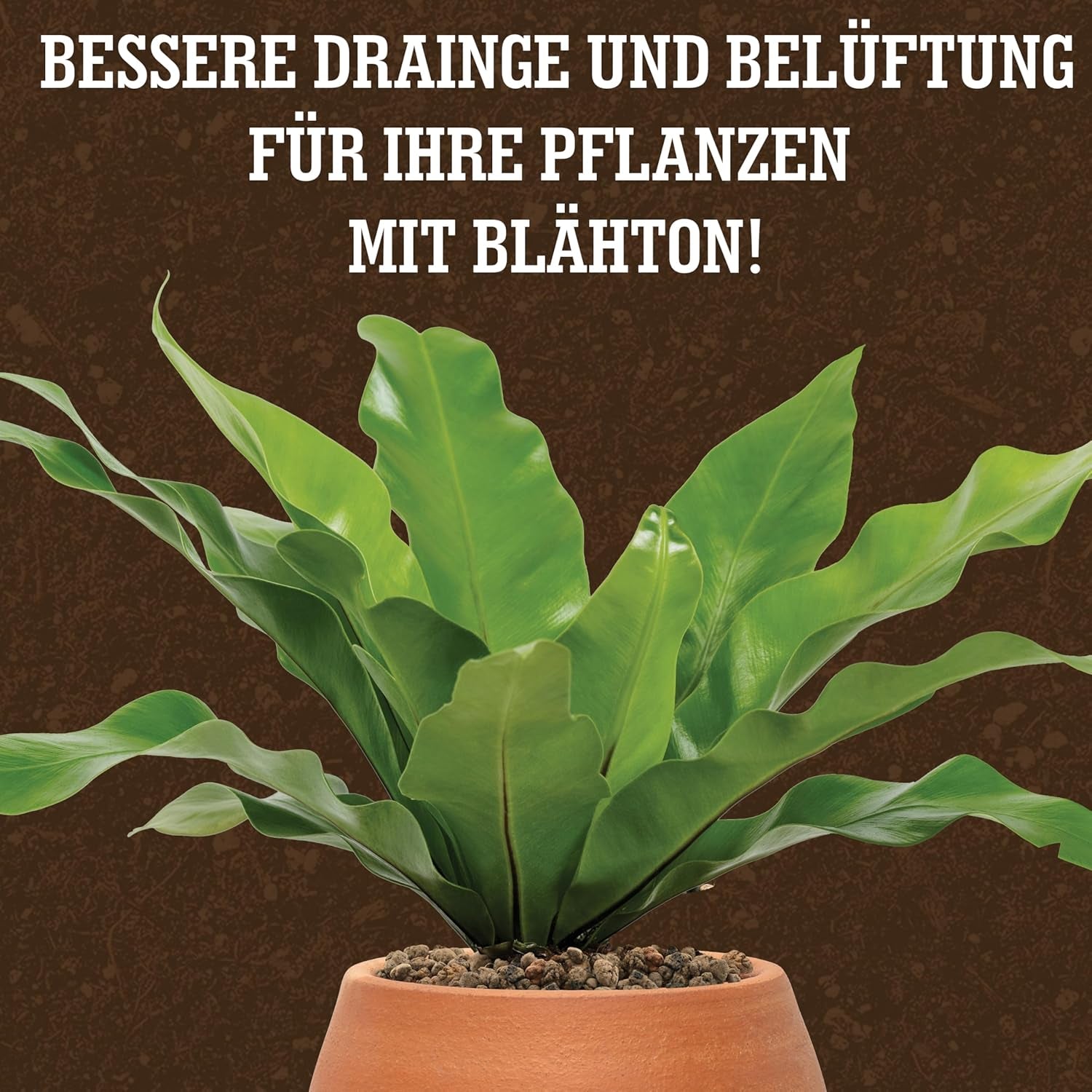Argilă expandată LERAVA® (1L) – Granule de argilă pentru plante de apartament și hidroponie – Argilă vegetală cu pH neutru pentru drenaj optim – Ideală ca strat de drenaj sau granule de argilă decorative pentru plante